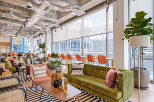 1 Person Shared Office