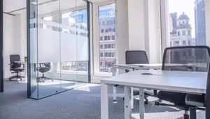 1 Person Virtual Office