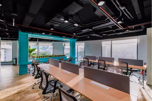 1 Person Virtual Office