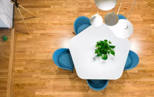 1 Person Virtual Office