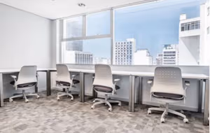 1 Person Virtual Office