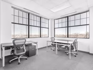 1 Person Virtual Office