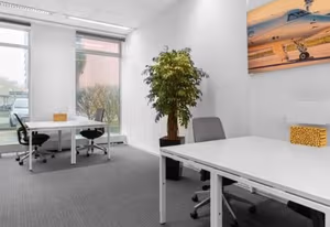 1 Person Virtual Office