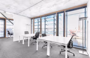 1 Person Virtual Office