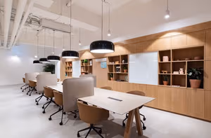 1 Person Virtual Office