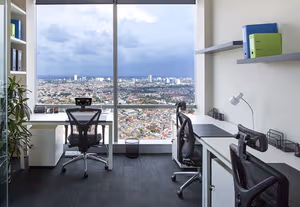 1 Person Virtual Office