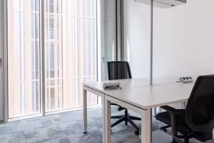 1 Person Virtual Office