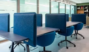 1 Person Virtual Office