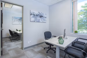 1 Person Virtual Office