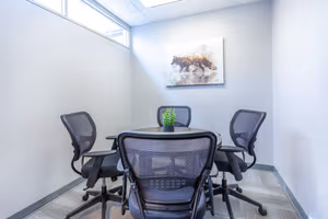 1 Person Virtual Office