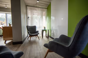 1 Person Virtual Office