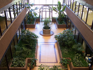 4 Person Private Office