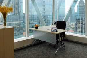 1 Person Virtual Office