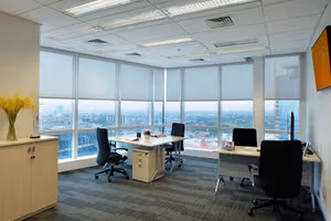 1 Person Virtual Office