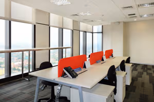 1 Person Virtual Office