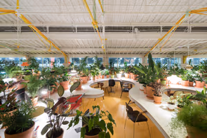 2 Person Coworking Desk