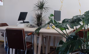 1 Person Coworking Desk