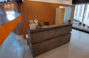 1 Person Virtual Office