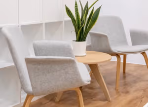 1 Person Virtual Office