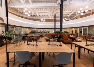15 Person Enterprise Suite
