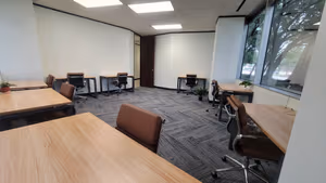 1 Person Virtual Office