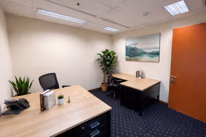 2 Person Coworking Desk
