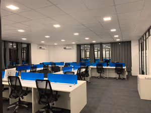 1 Person Virtual Office