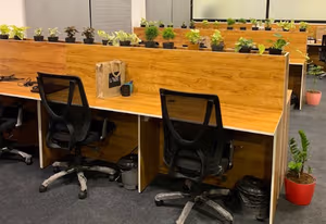 1 Person Virtual Office