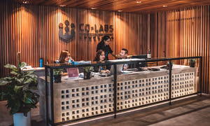 1 Person Virtual Office