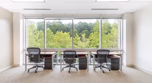 1 Person Private Office