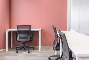 1 Person Virtual Office