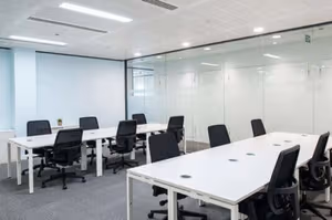 1 Person Virtual Office