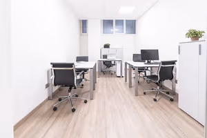 1 Person Virtual Office