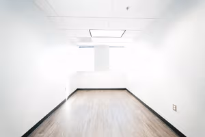 1 Person Virtual Office