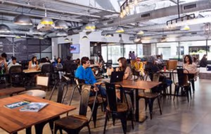 1 Person Coworking Desk