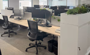 1 Person Shared Office