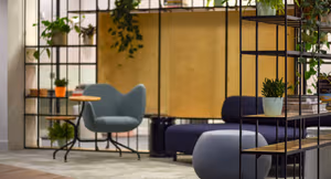 50 Person Managed Space