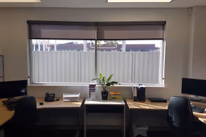 1 Person Virtual Office