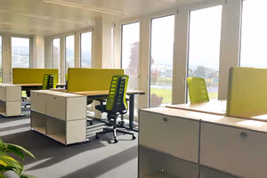 1 Person Virtual Office