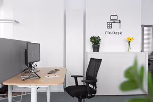 1 Person Virtual Office