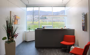 1 Person Virtual Office