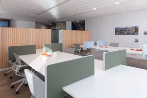 1 Person Virtual Office