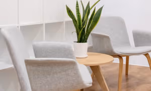 1 Person Virtual Office