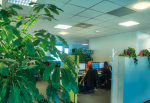 4 Person Coworking Desk