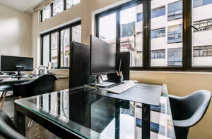 1 Person Virtual Office