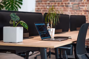 1 Person Virtual Office