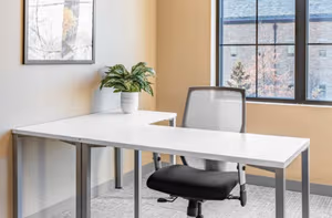 3 Person Private Office