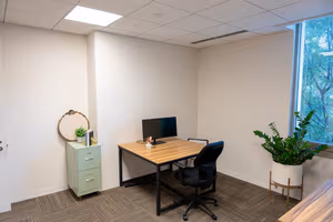 1 Person Private Office