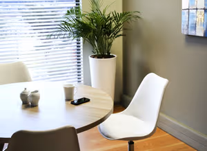 1 Person Virtual Office