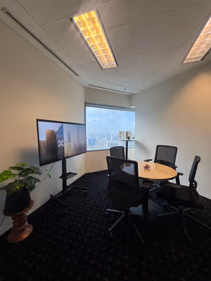 1 Person Virtual Office